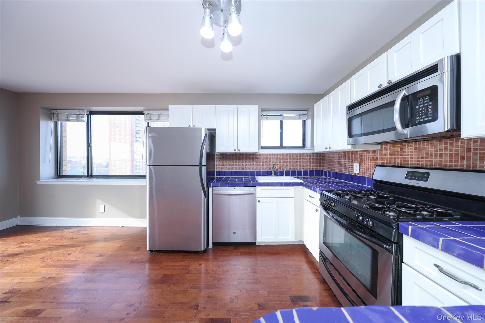 420 64th Street 11b Property Photo 7