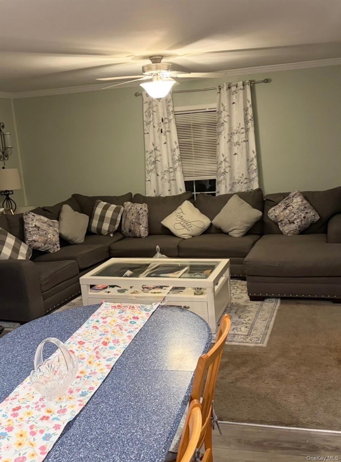 60 Celeste Drive Property Photo 8