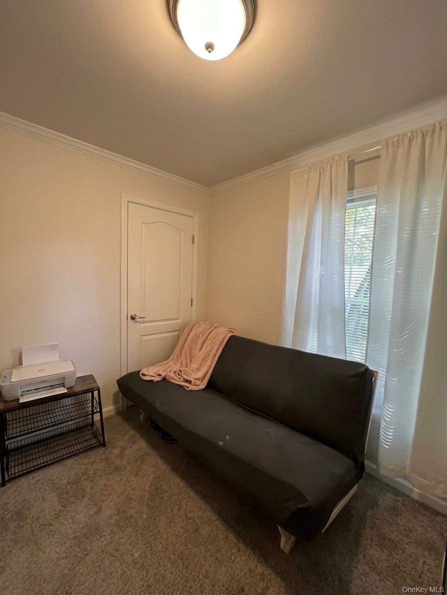 60 Celeste Drive Property Photo 16