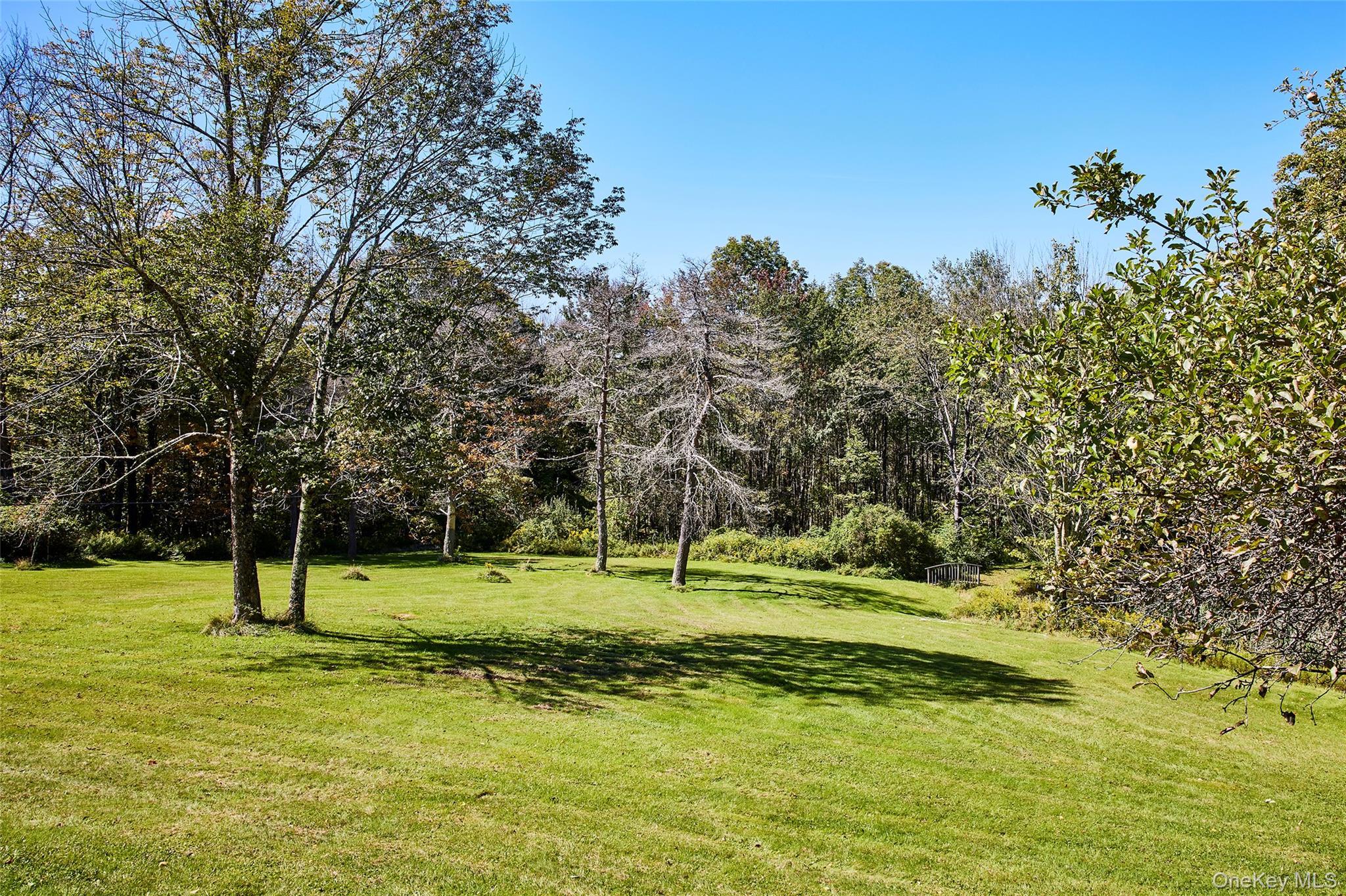50 Hahn Road Property Photo 29