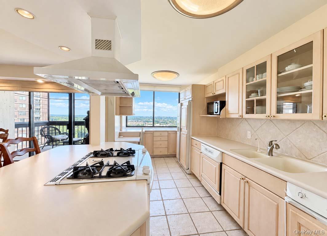 27010 Grand Central Parkway 18e Property Photo 10