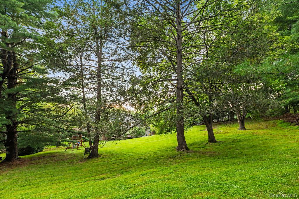 10 Golden Road Property Photo 35