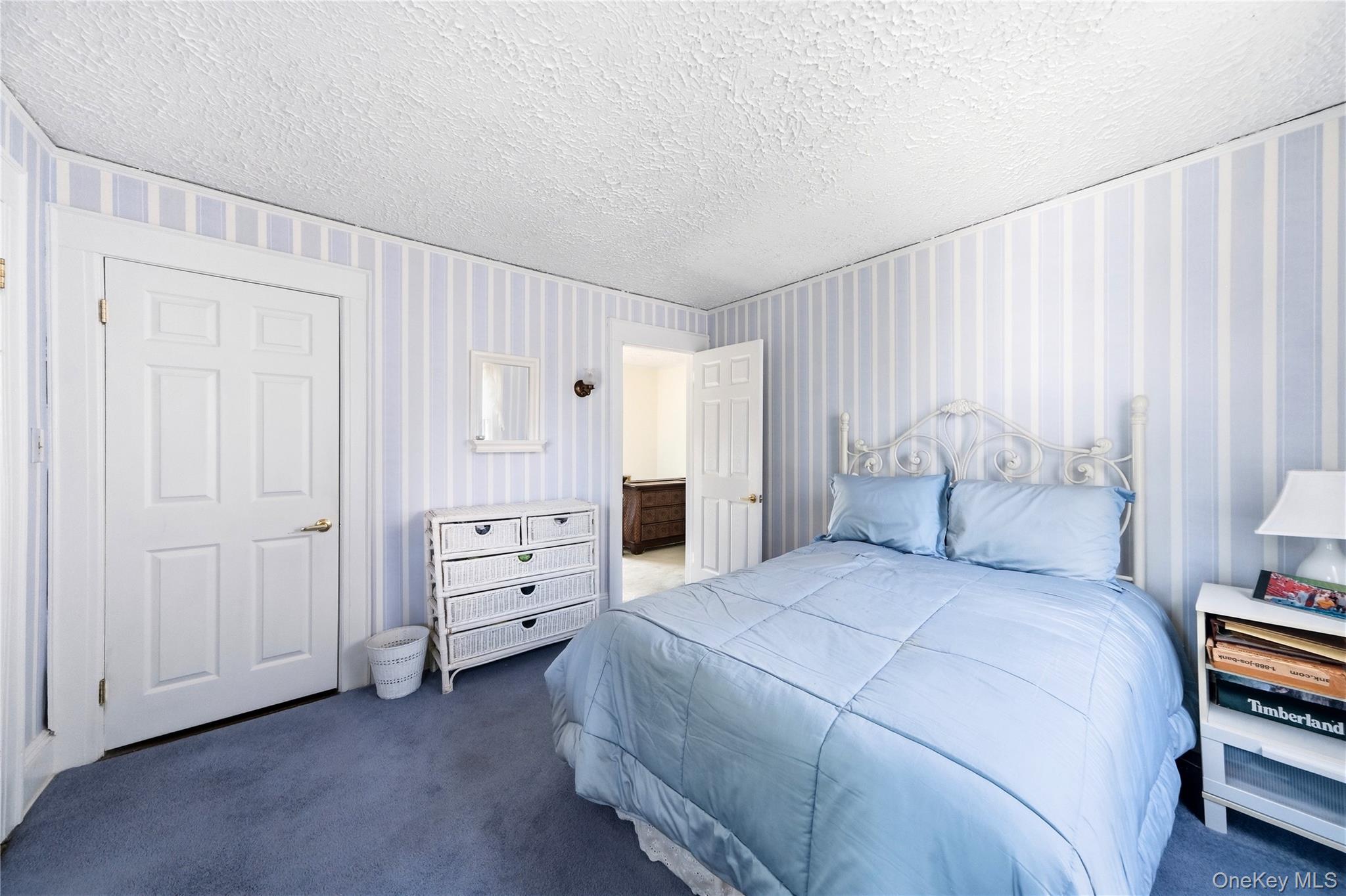 410 Clinton Street Property Photo 29