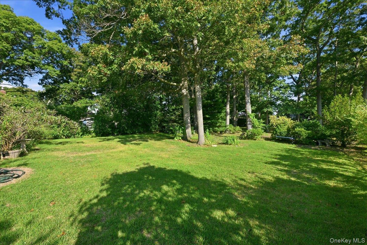 25 W Oakdale Street Property Photo 23