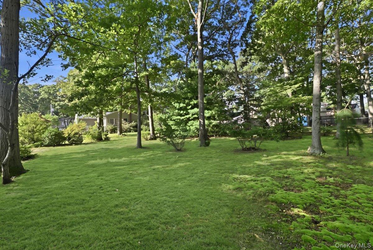 25 W Oakdale Street Property Photo 28