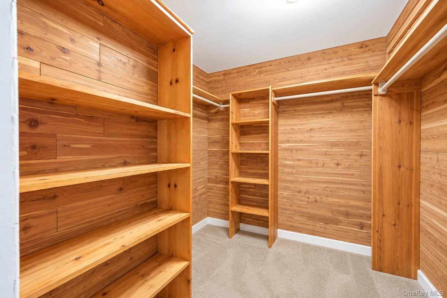 23 Pimlico Drive Property Photo 31