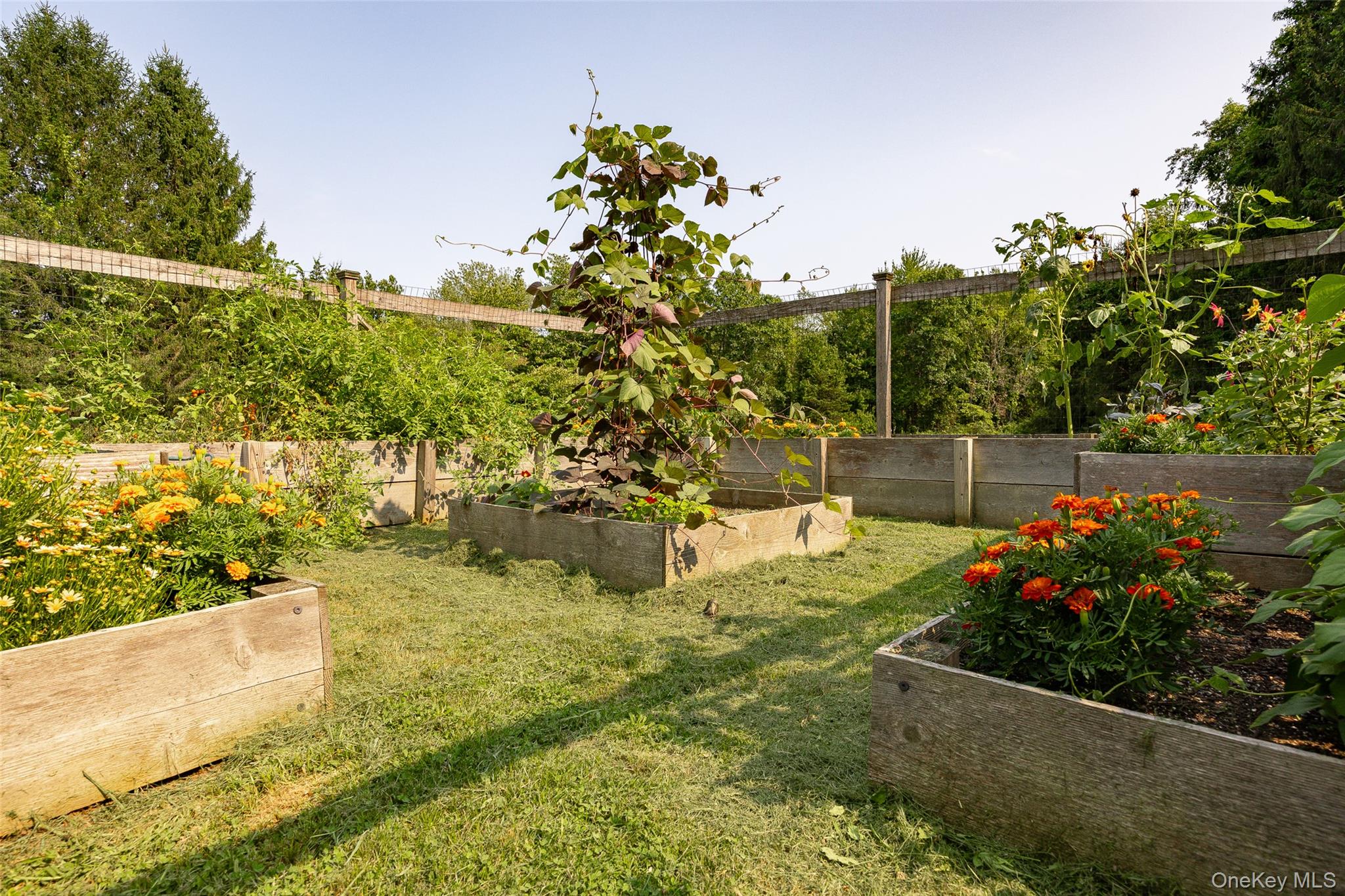 62 Frost Road Property Photo 26