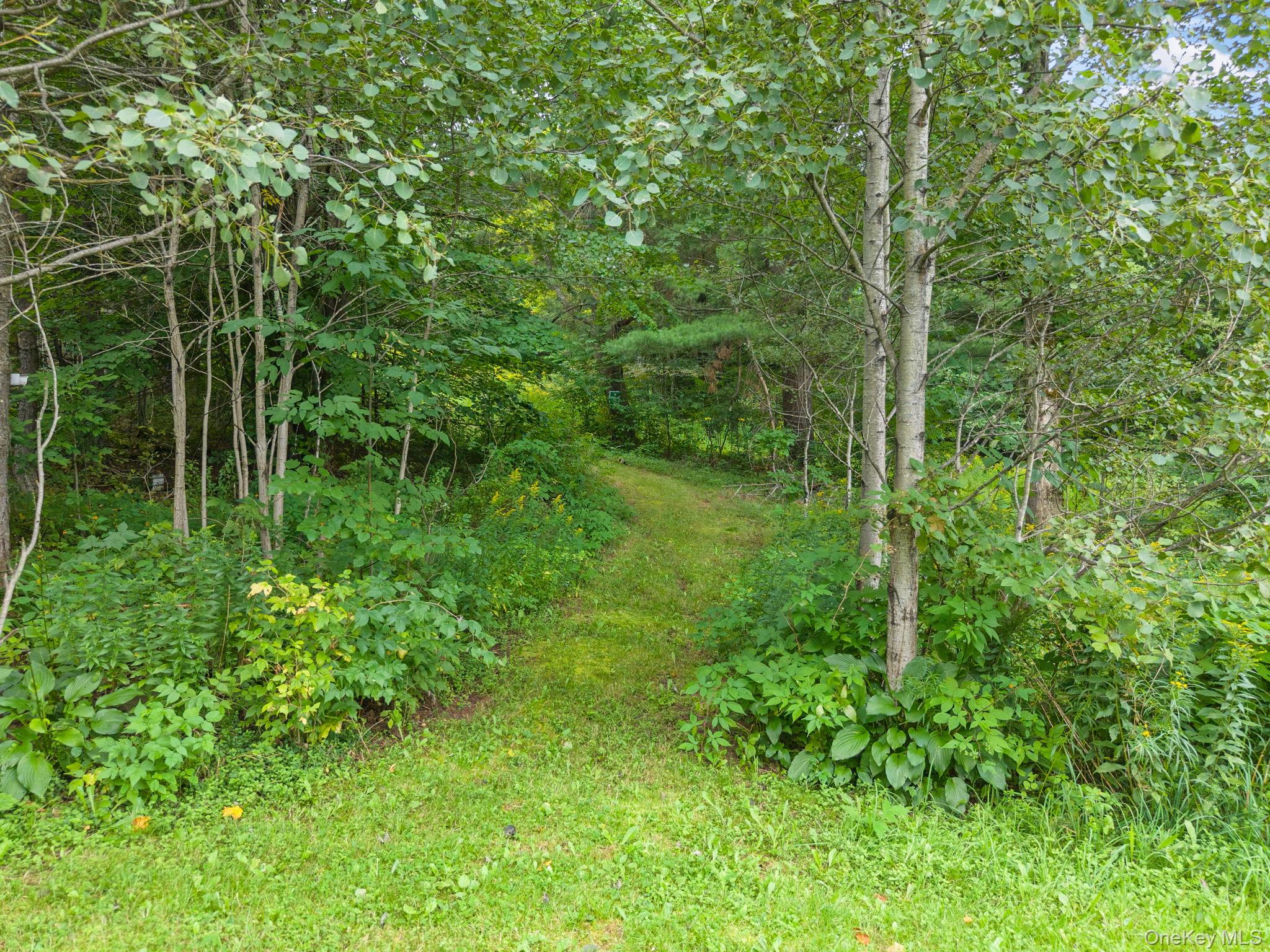 5206 Town Brook Road Property Photo 34