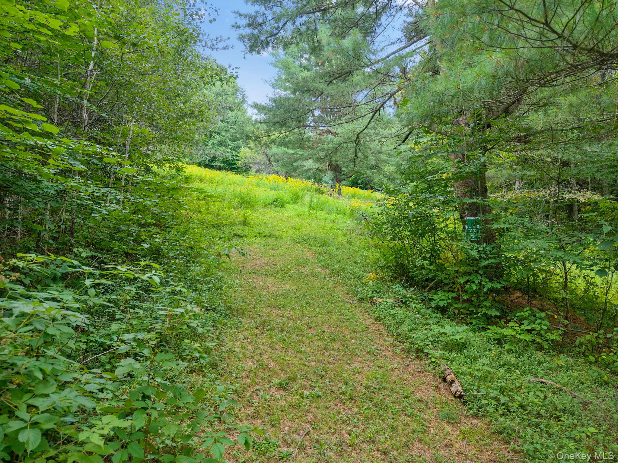 5206 Town Brook Road Property Photo 35