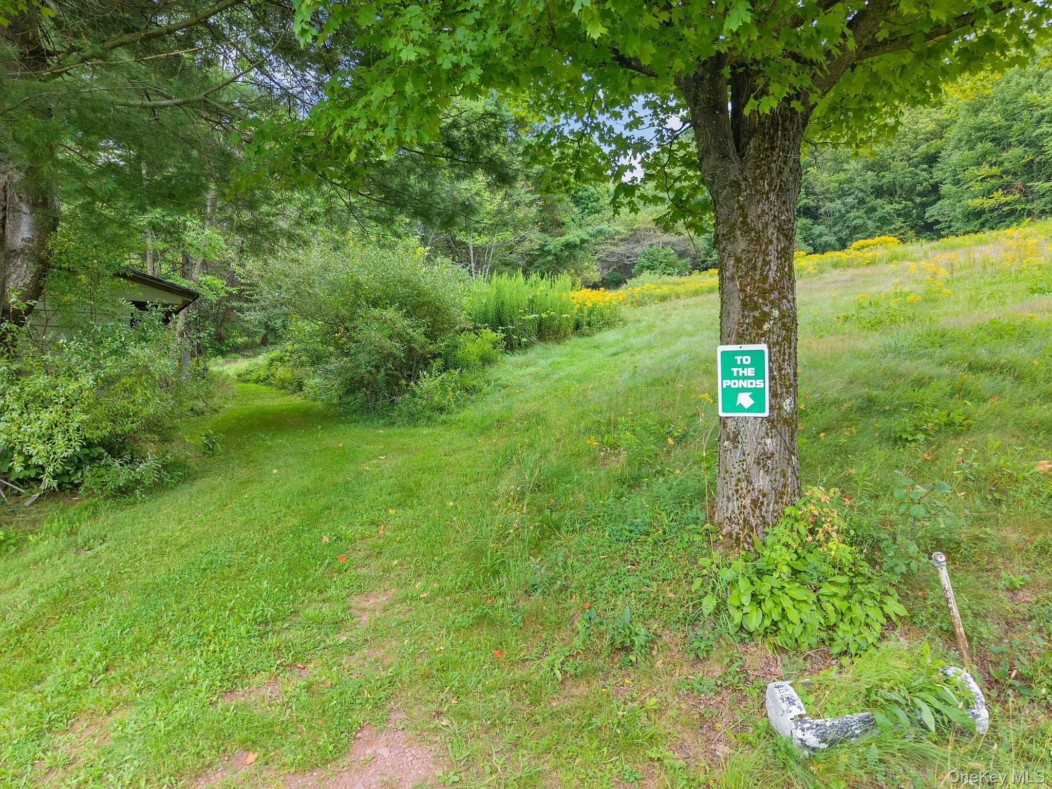 5206 Town Brook Road Property Photo 36