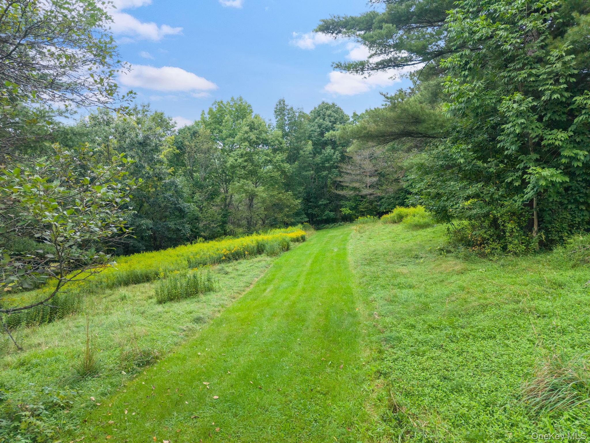 5206 Town Brook Road Property Photo 39