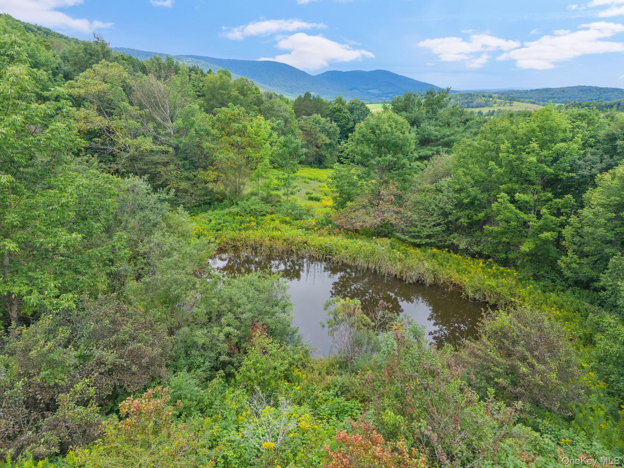 5206 Town Brook Road Property Photo 41