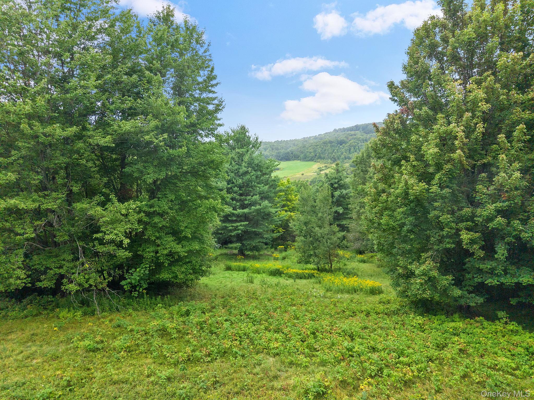 5206 Town Brook Road Property Photo 46