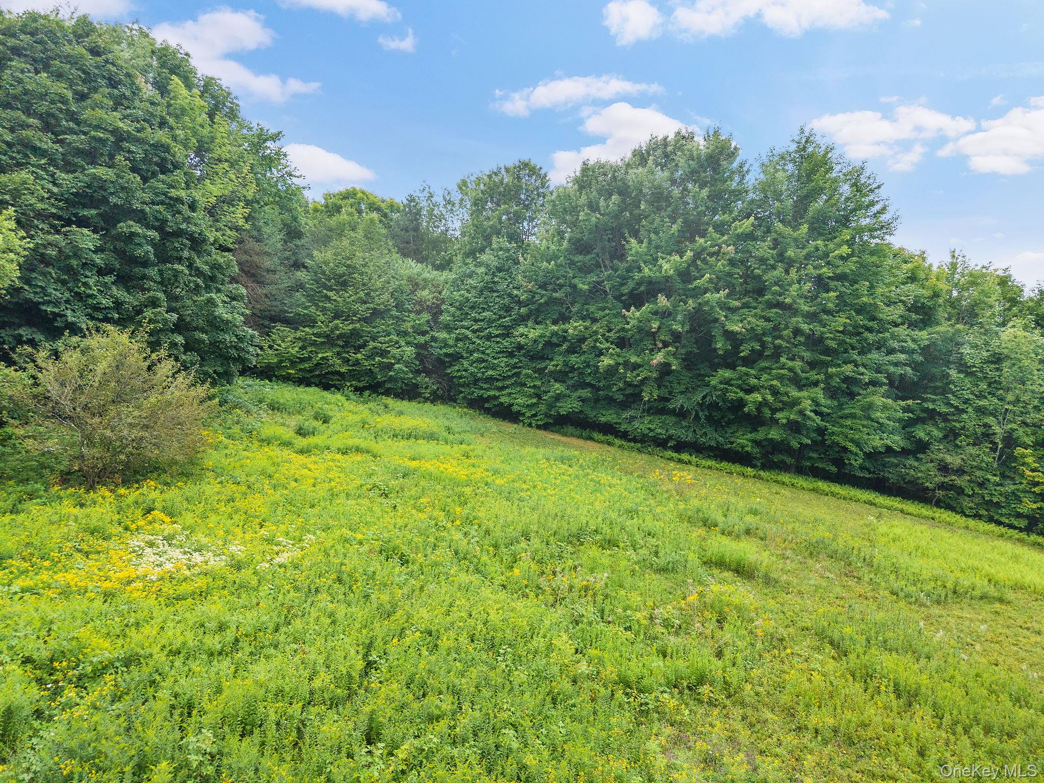 5206 Town Brook Road Property Photo 47