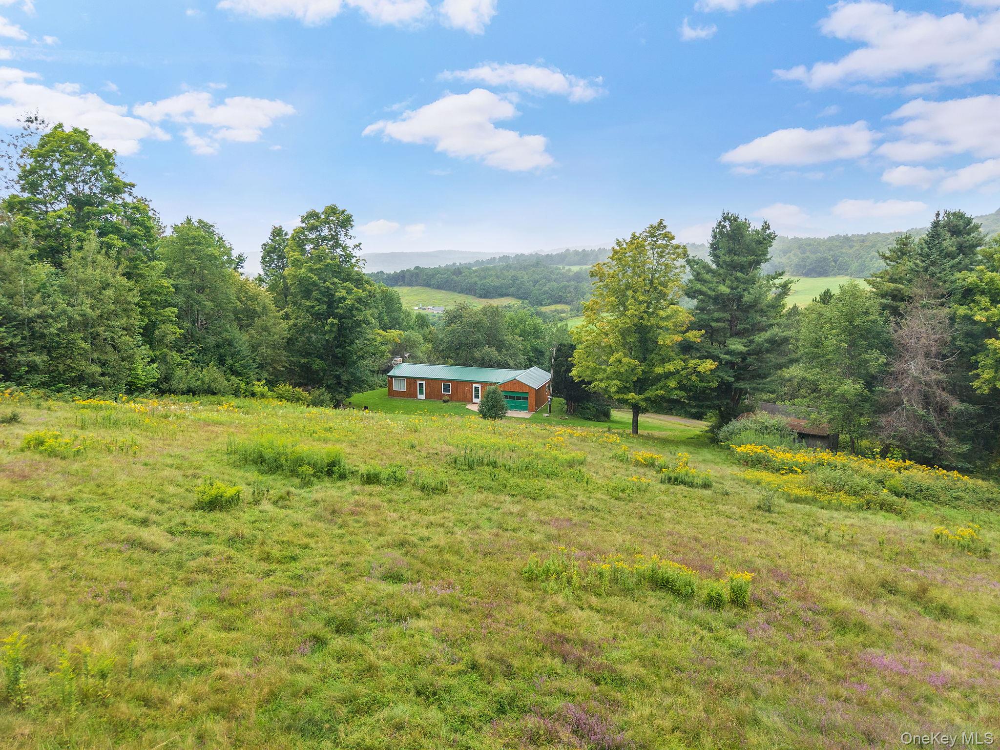 5206 Town Brook Road Property Photo 48