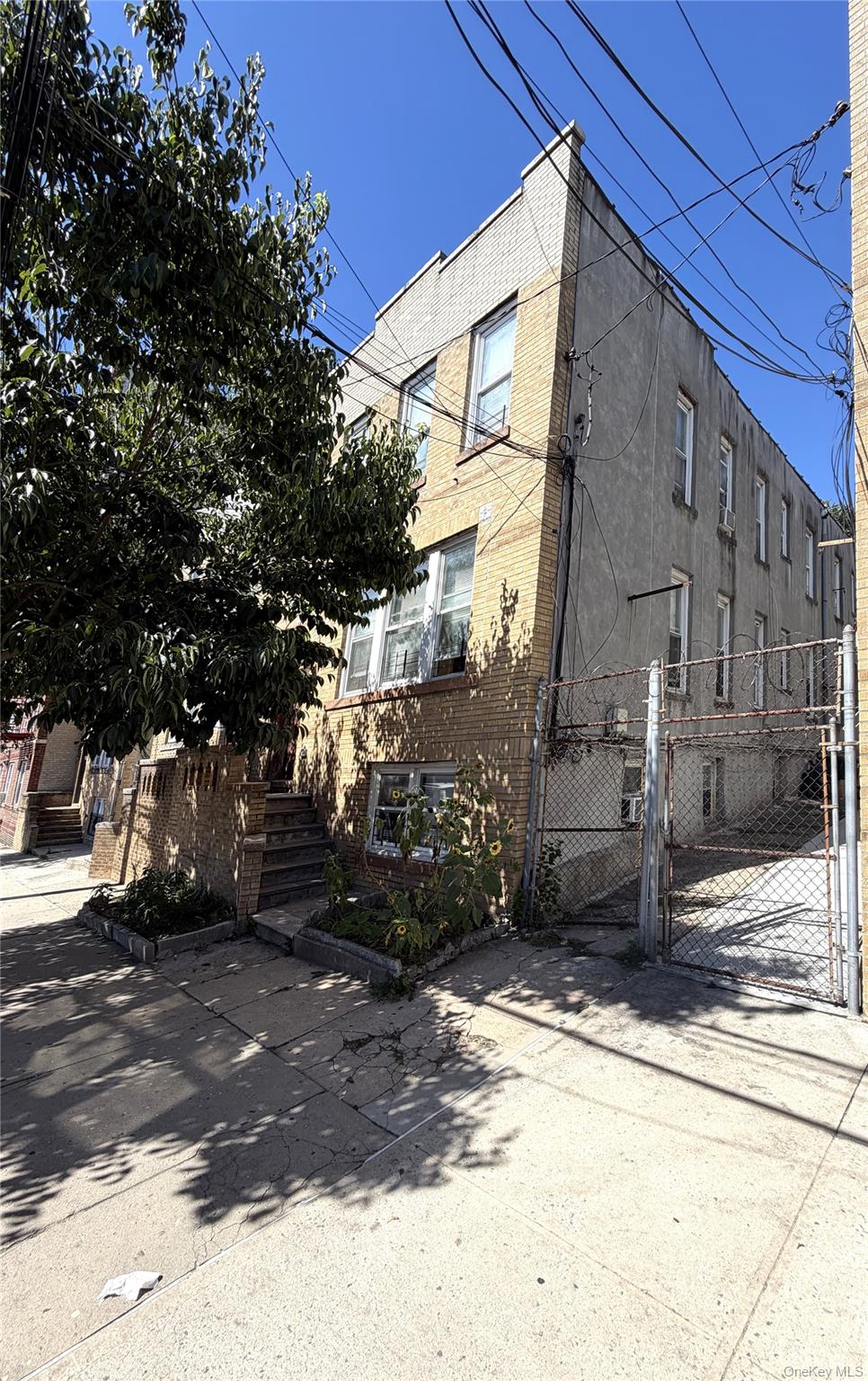 719 E 242nd Street Property Photo 1