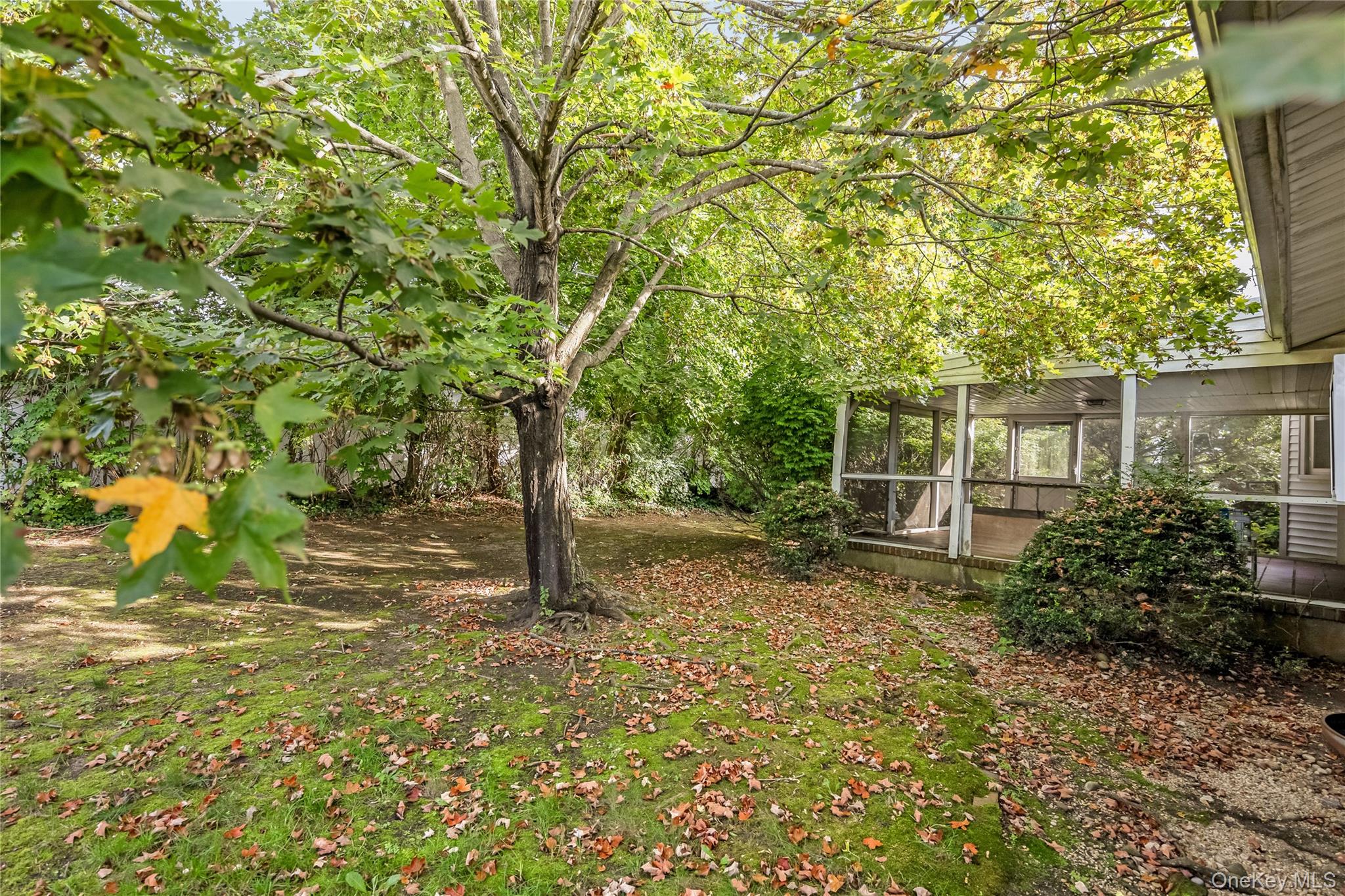 29 Randy Lane Property Photo 34