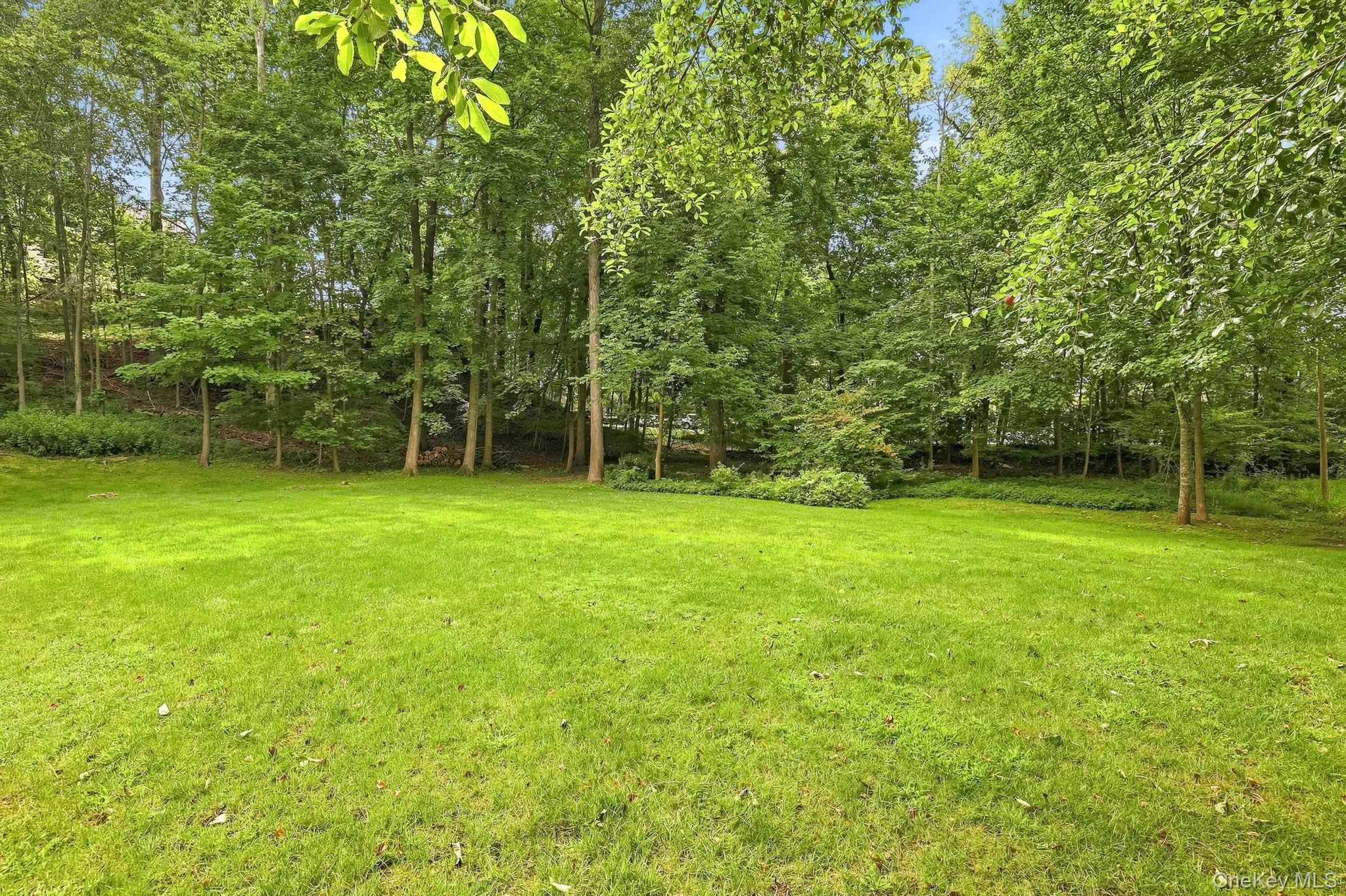 140 Grace Church Street Property Photo 34