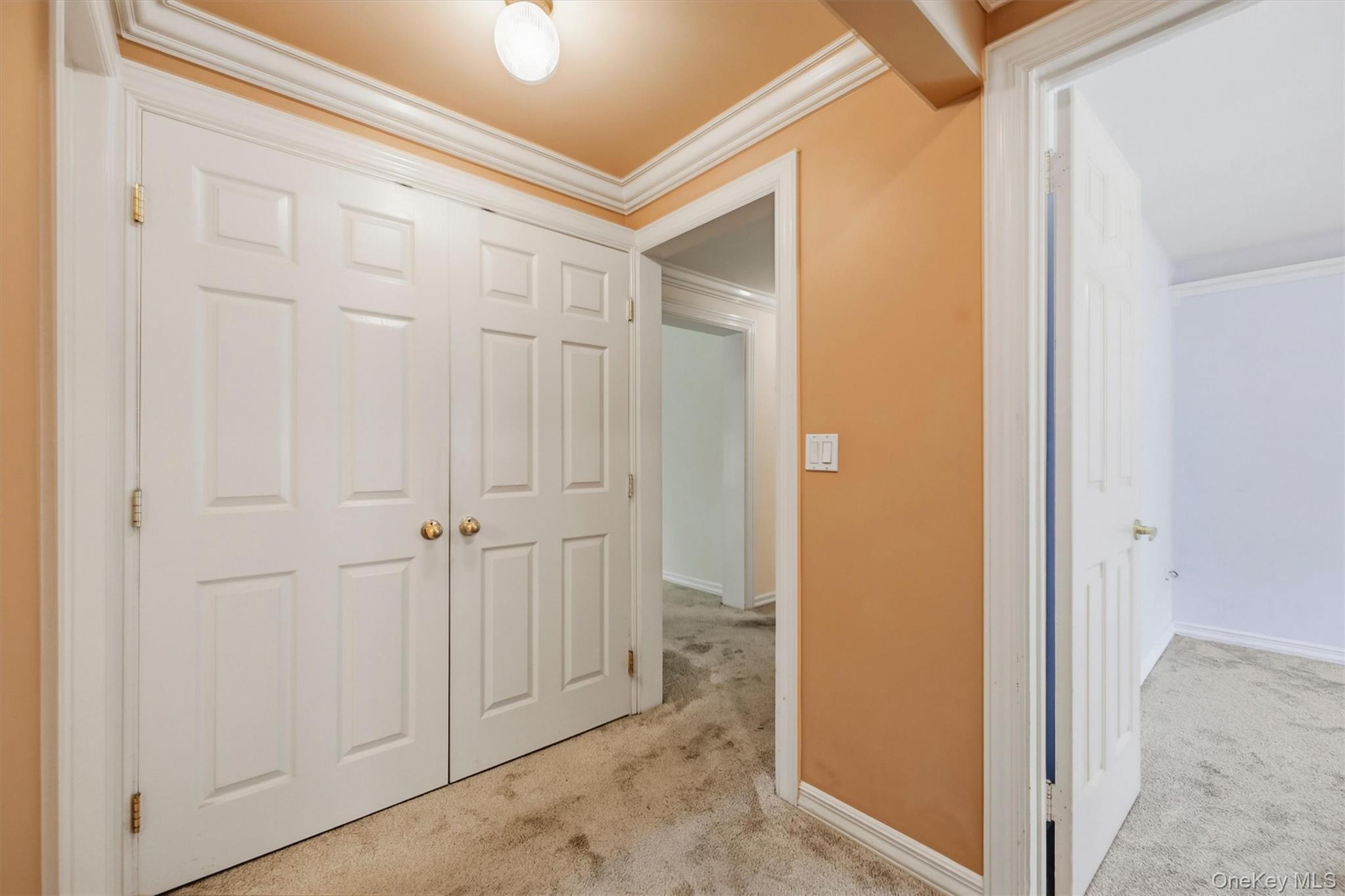1704 Holly Stream Court Property Photo 27