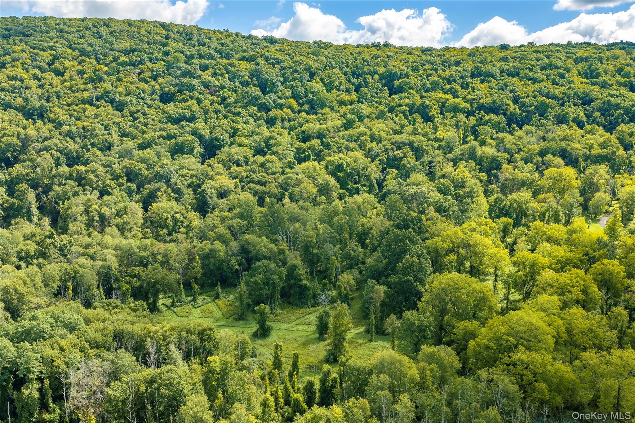 Route 22 Property Photo 1
