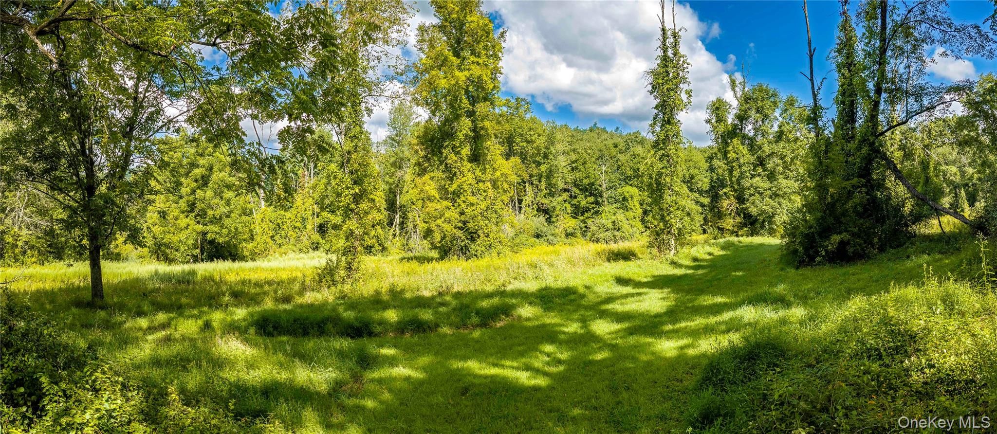 Route 22 Property Photo 4