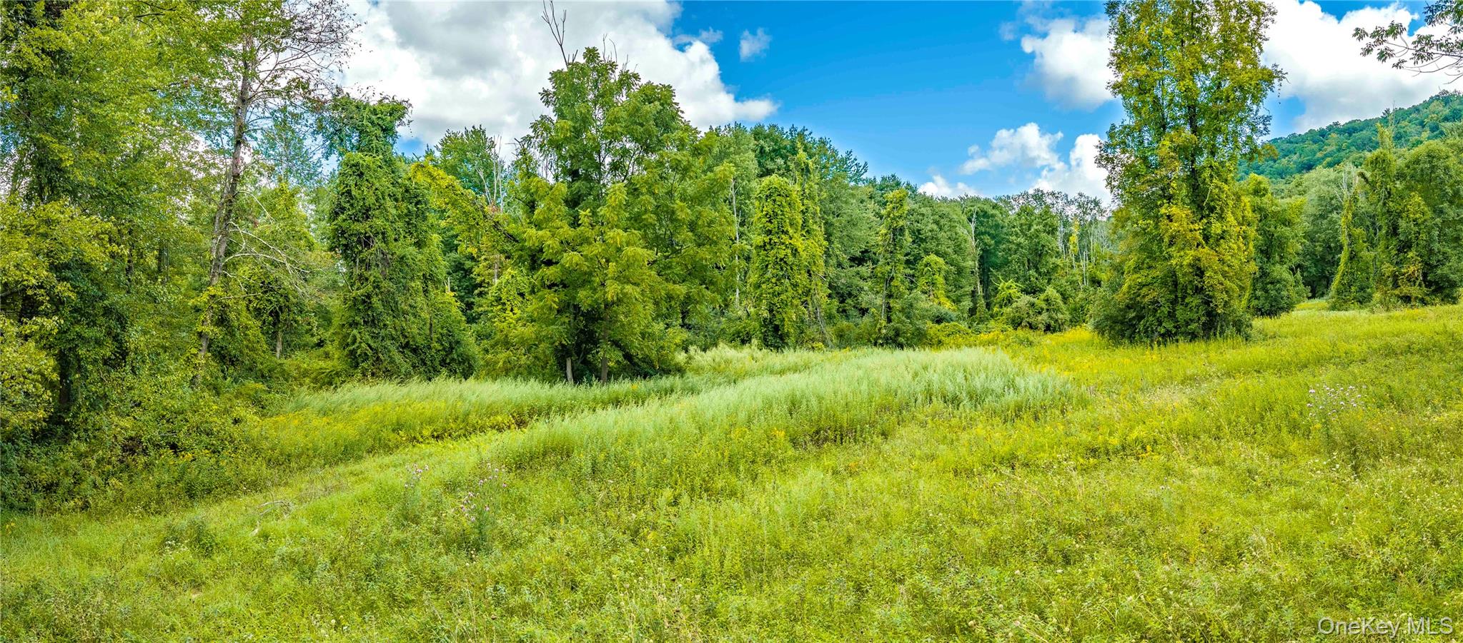 Route 22 Property Photo 5