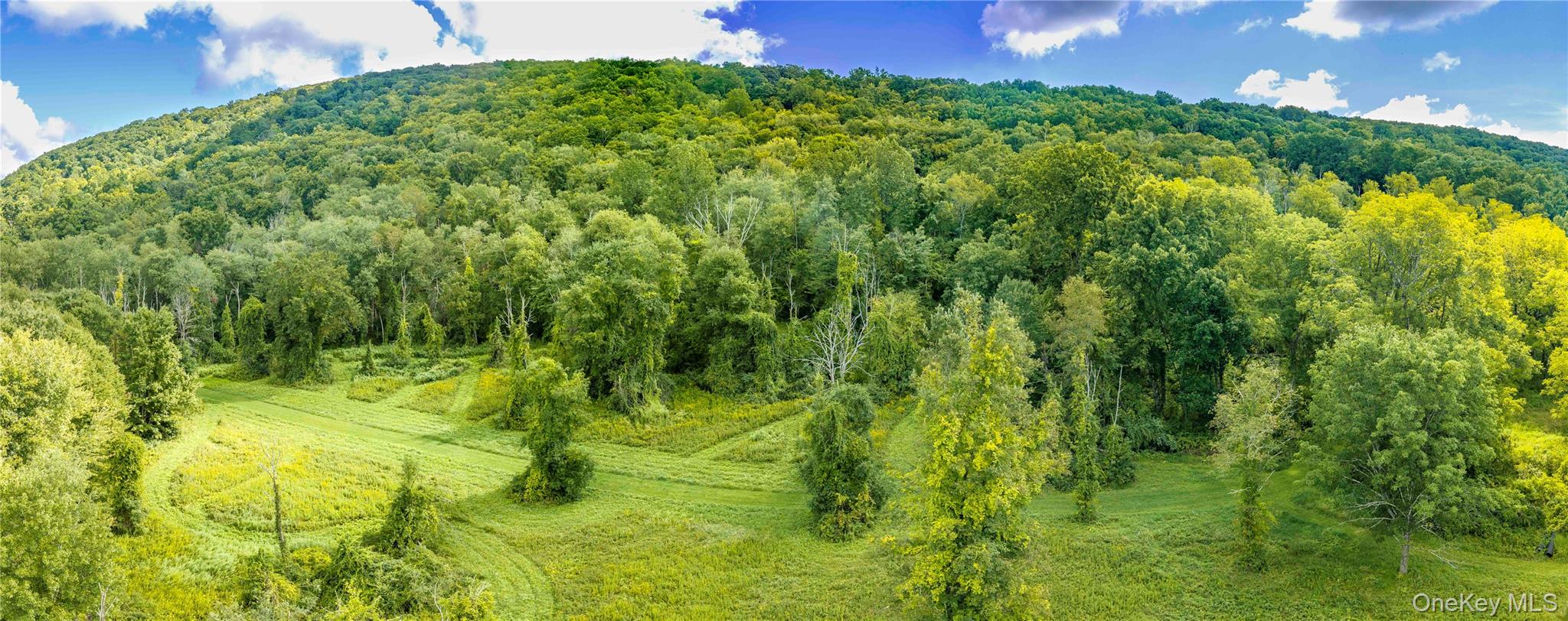 Route 22 Property Photo 6
