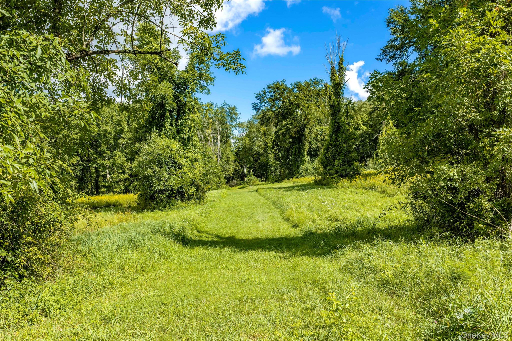Route 22 Property Photo 7