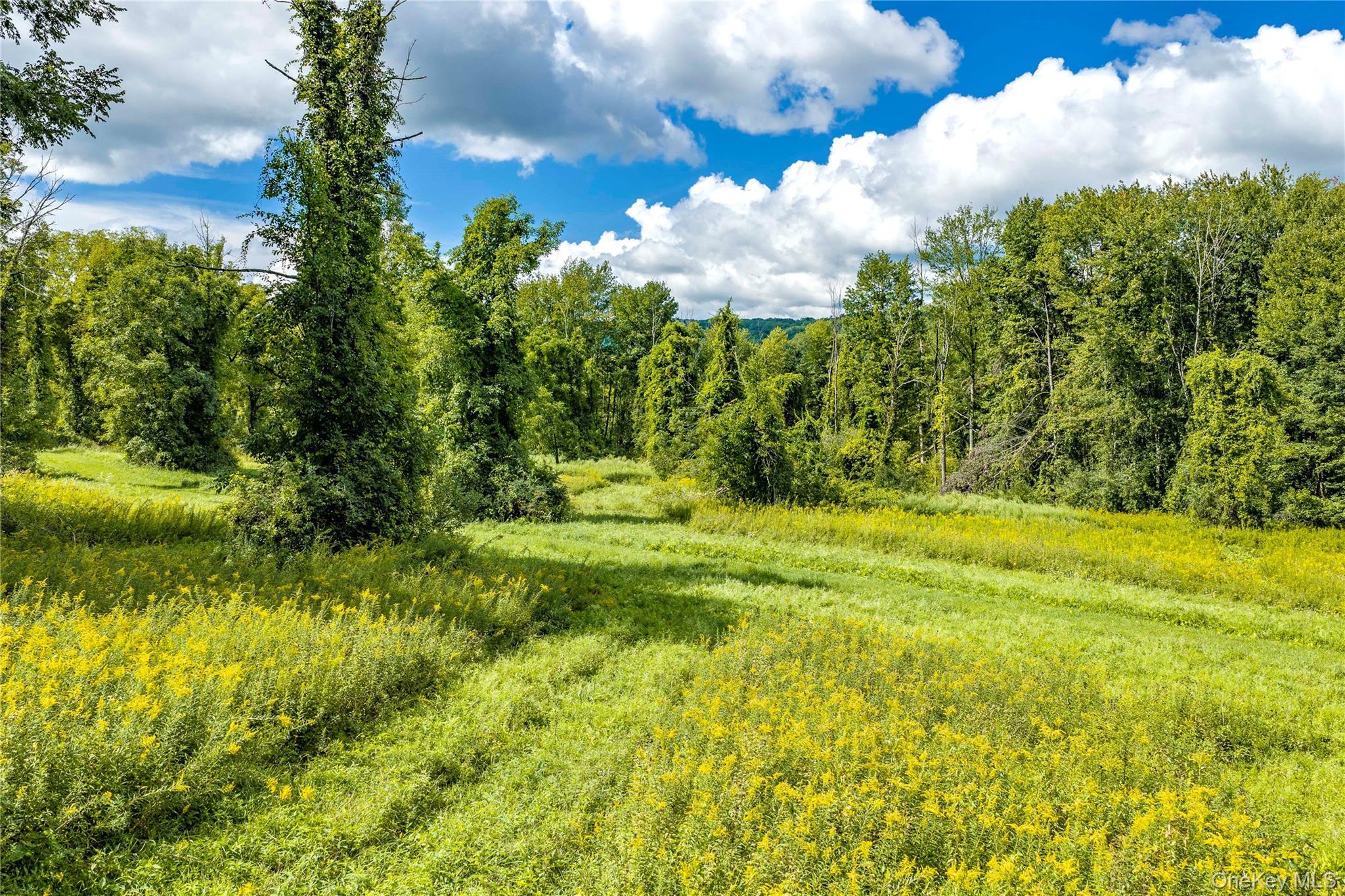 Route 22 Property Photo 8