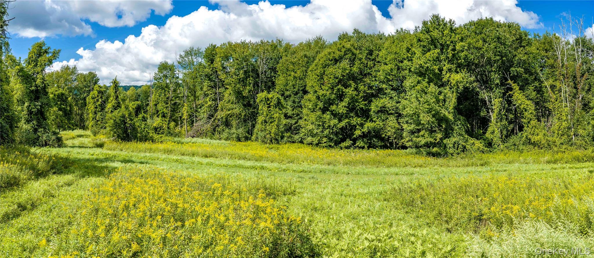 Route 22 Property Photo 9