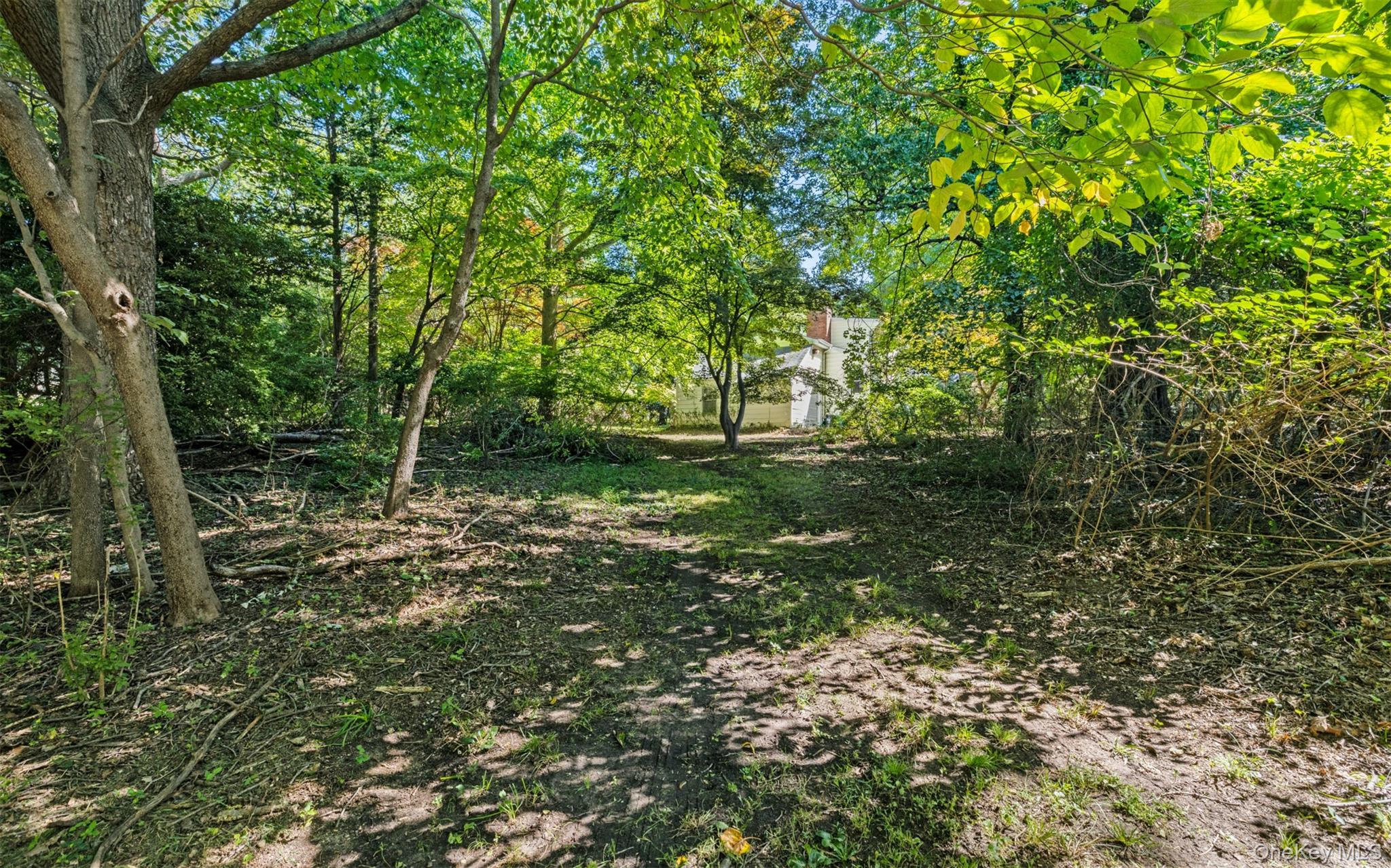 11 Woodycrest Drive Property Photo 22