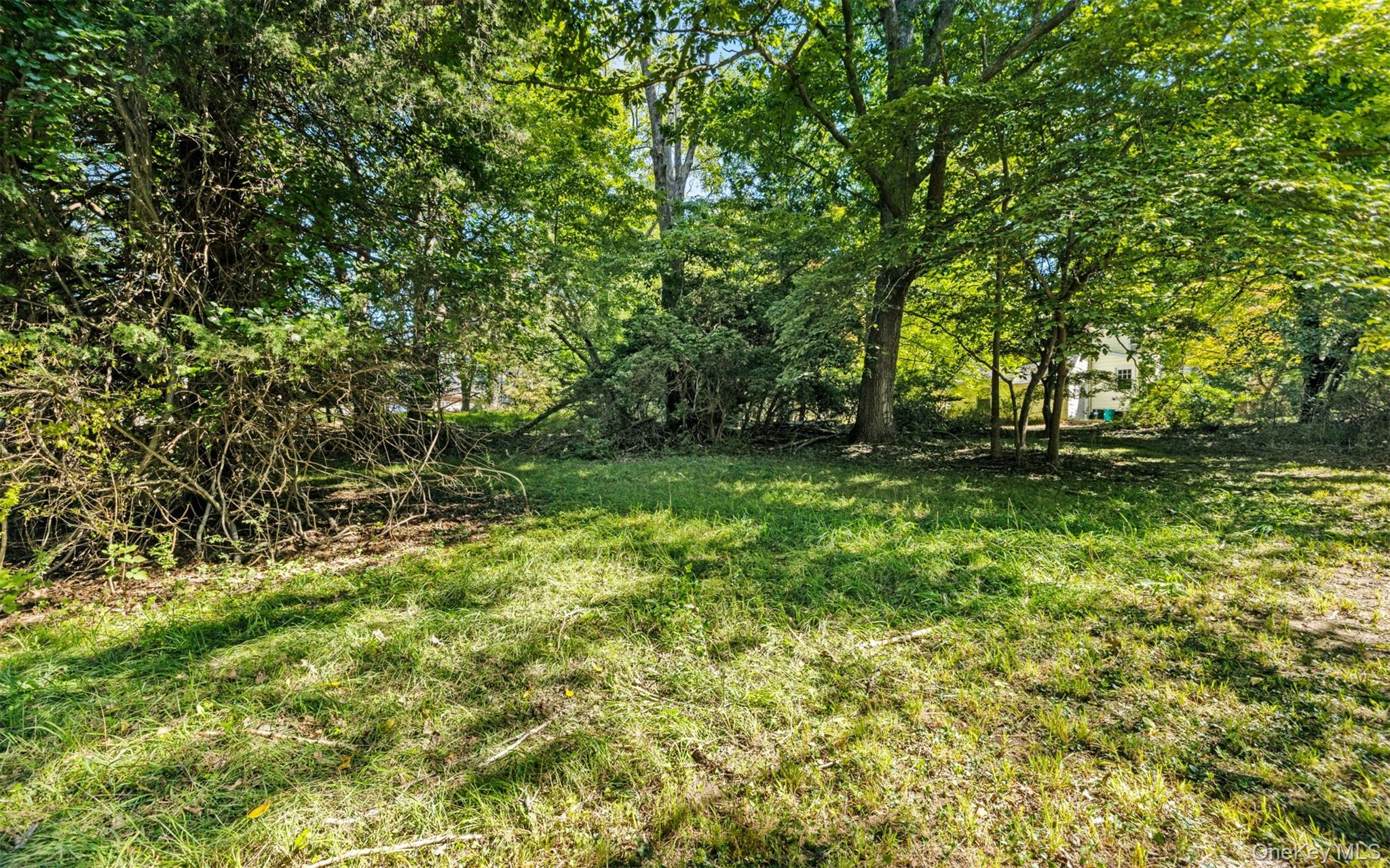 11 Woodycrest Drive Property Photo 24