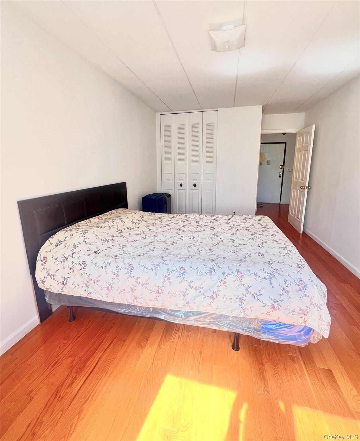 56-16 Seabury Street 2a Property Photo 5