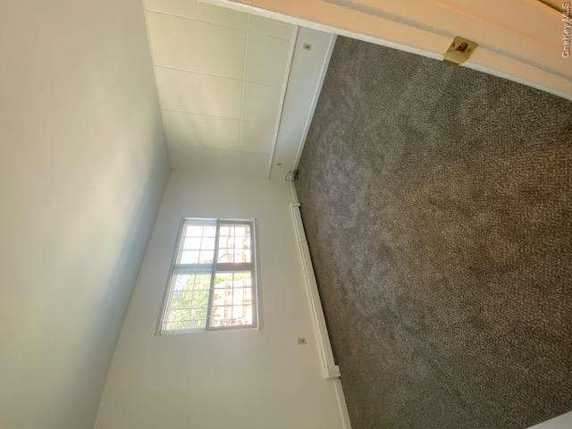 56 Sterling Place Property Photo 9
