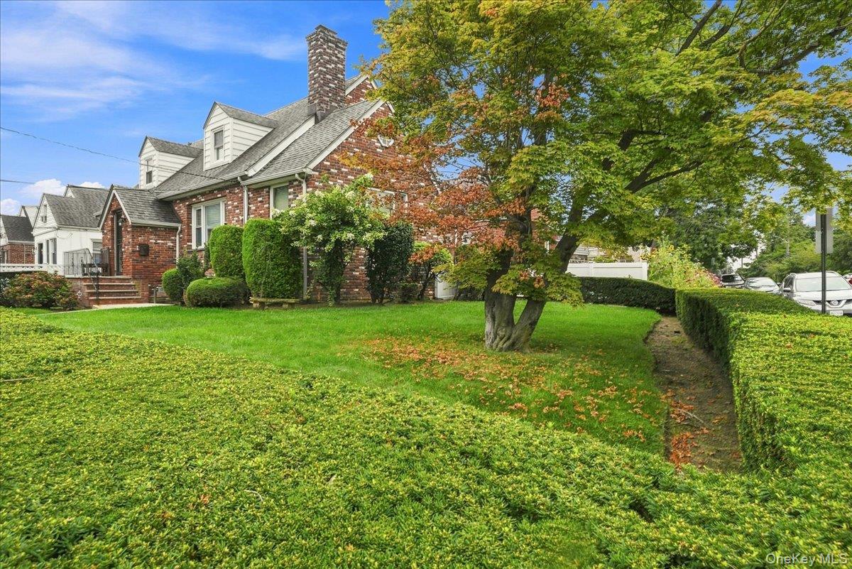 4 Holly Street Property Photo 5