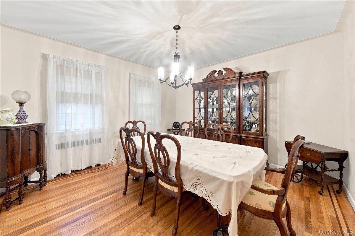 4 Holly Street Property Photo 14