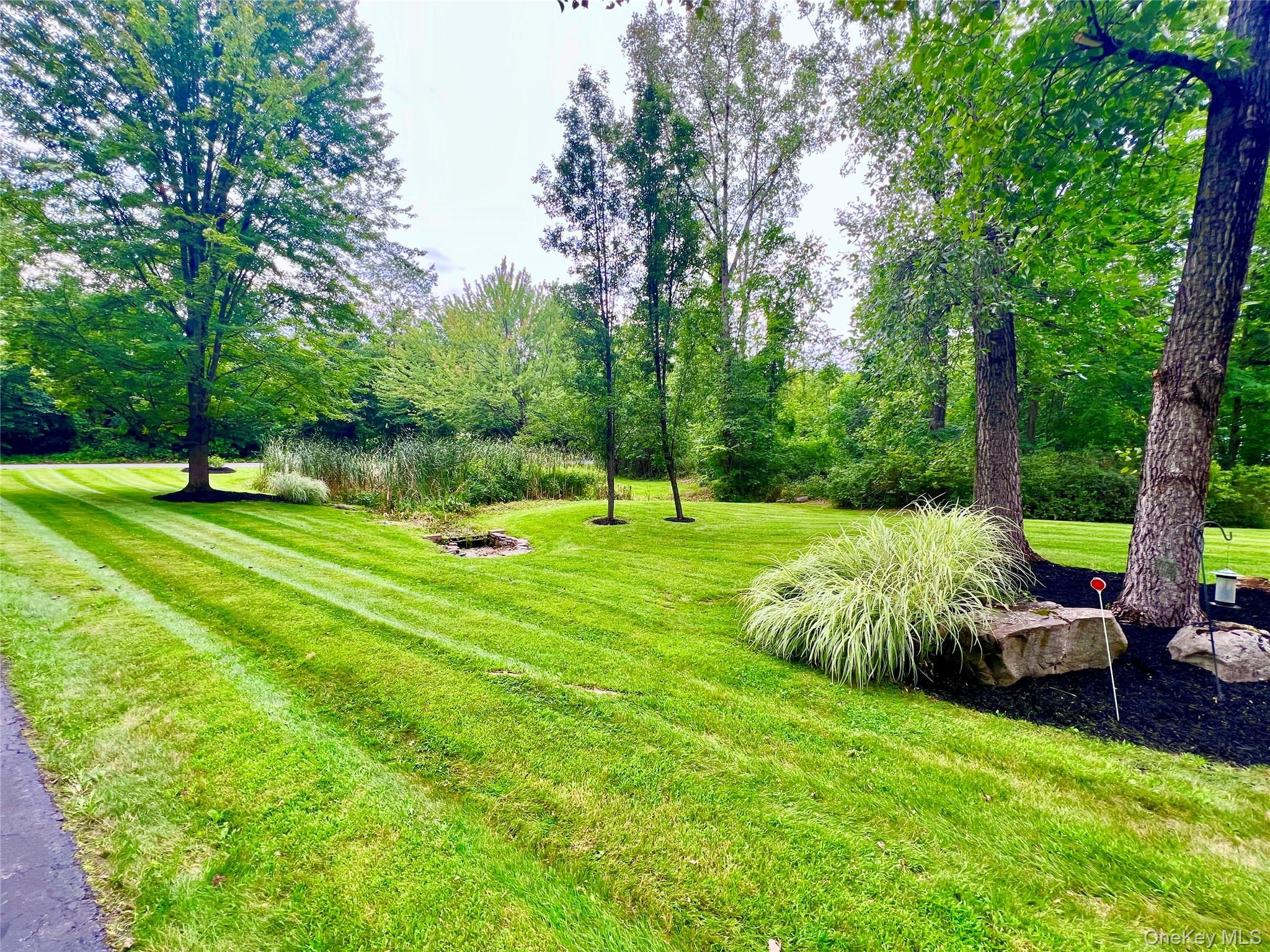 50 Cocoa Lane Property Photo 34