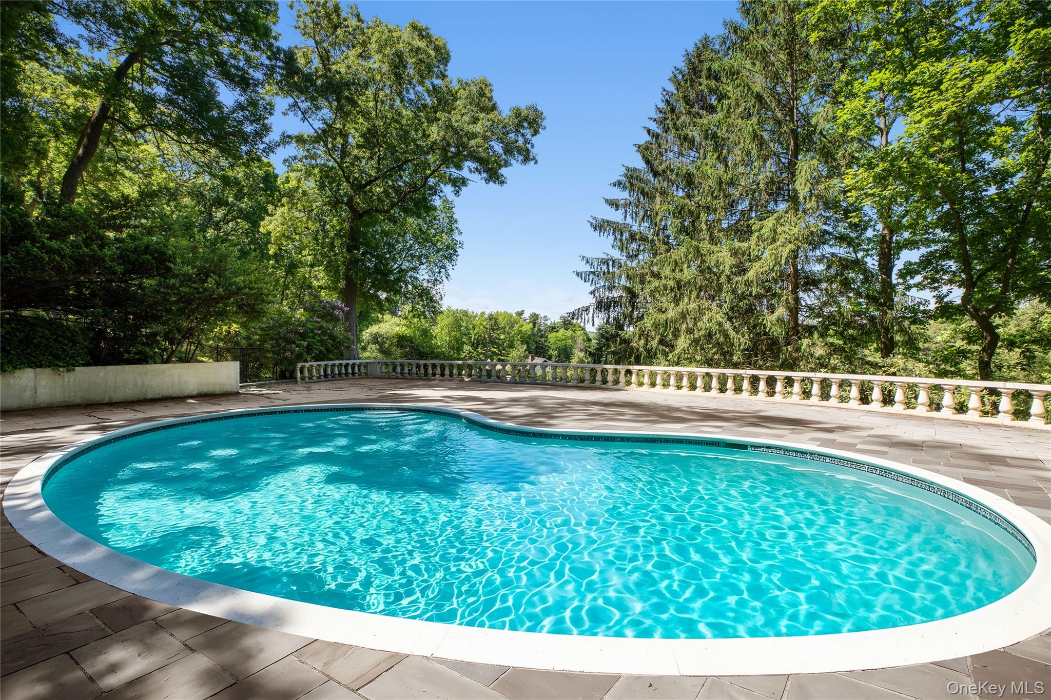 100 Horseshoe Road Property Photo 26
