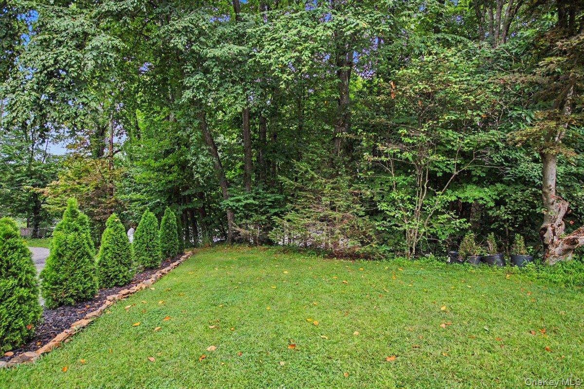 45 Hemlock Trail Court Property Photo 43