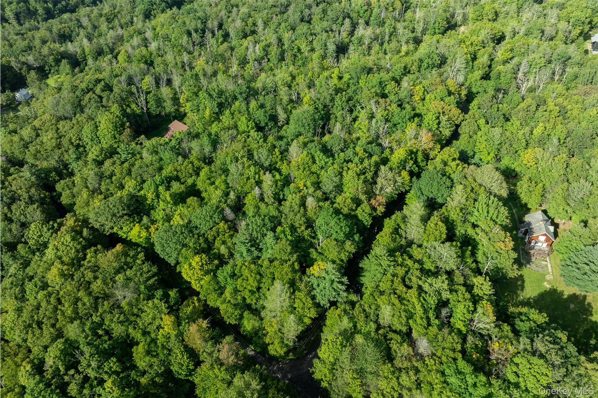 Lot 6 Mt Guardian Road Property Photo 1
