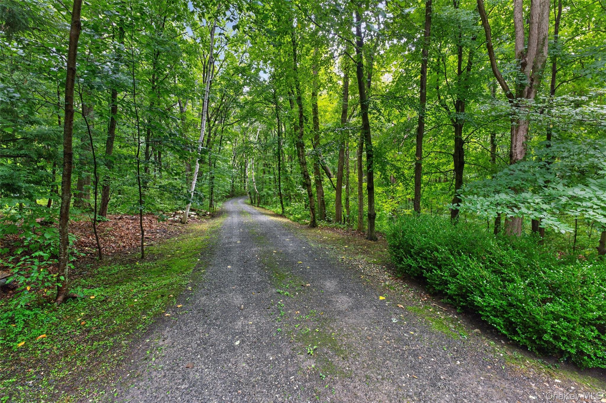 224 Under Mountain Road Property Photo 33