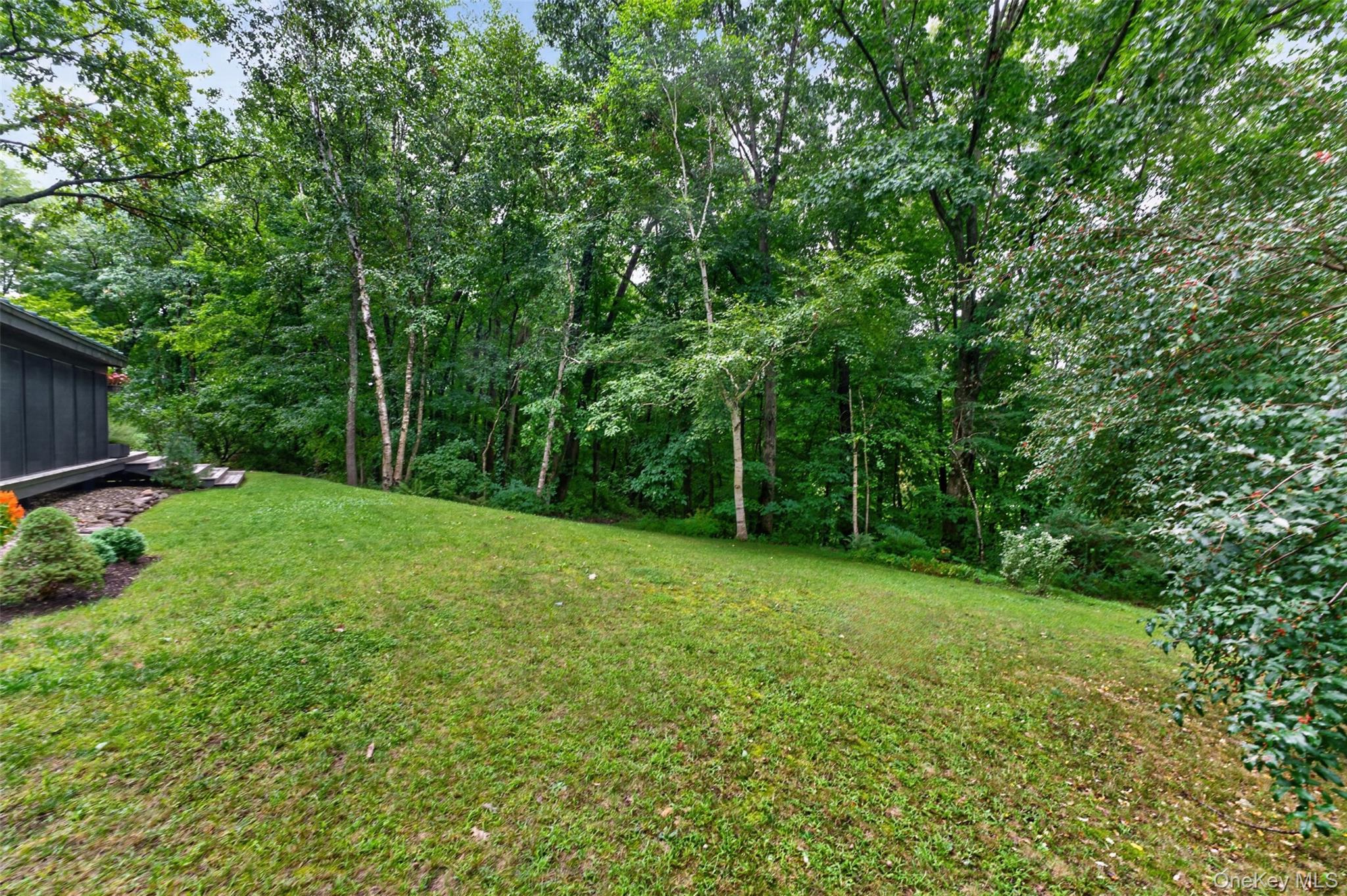 224 Under Mountain Road Property Photo 38