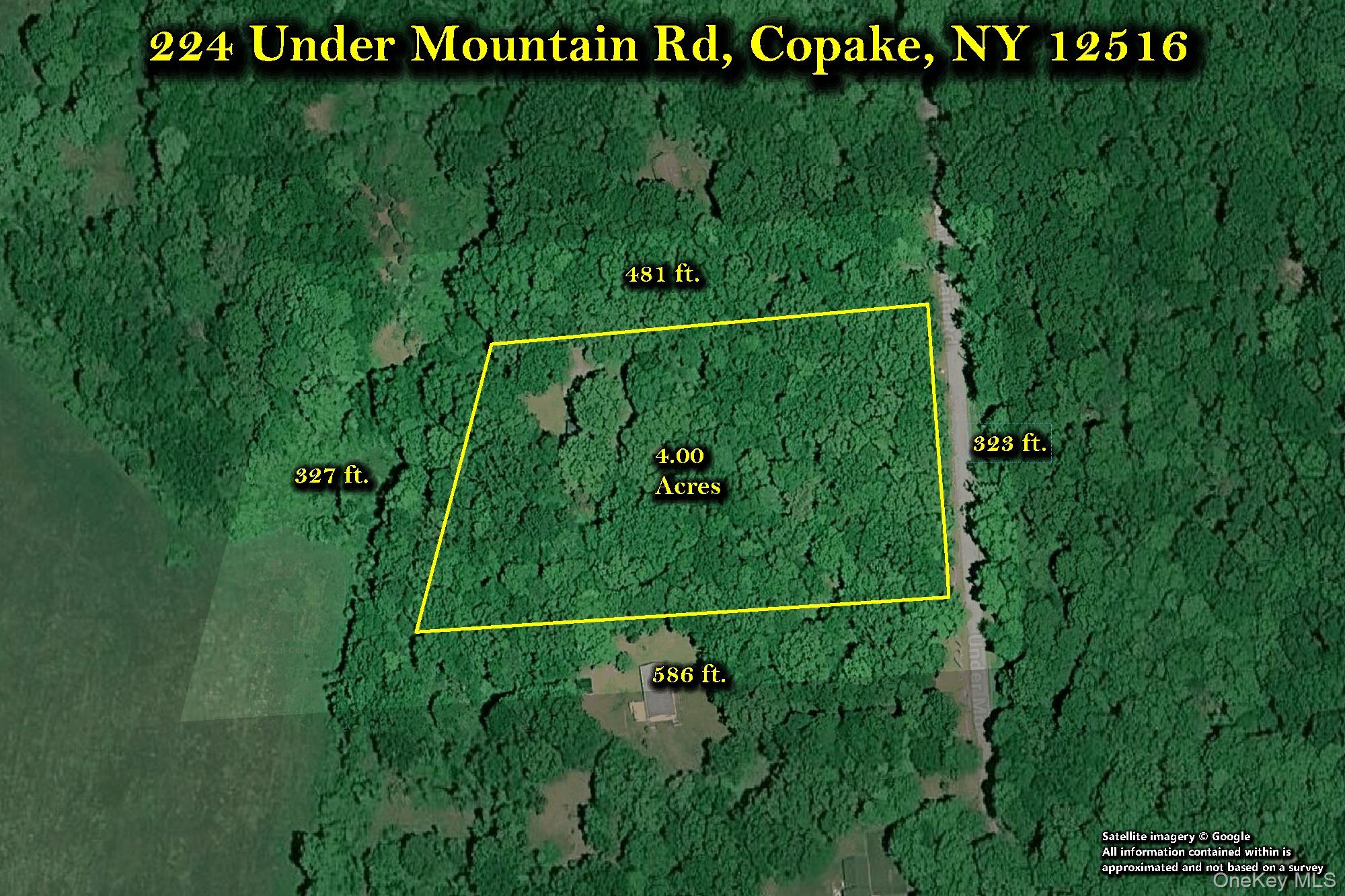 224 Under Mountain Road Property Photo 41