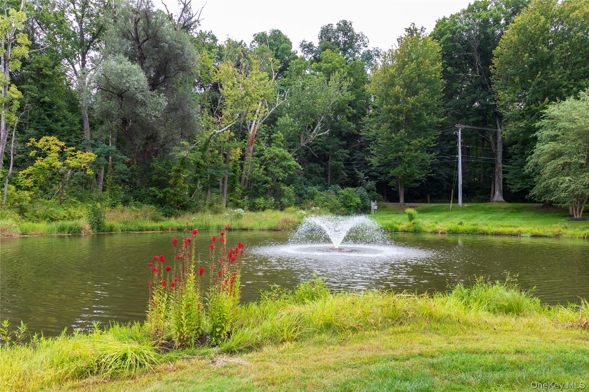 56 Pond Drive Property Photo 12