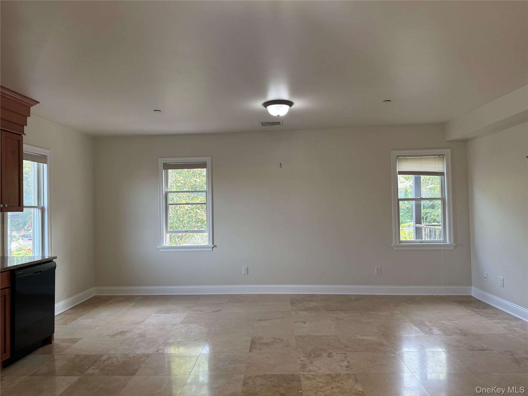 45-47 Spring Street 3c Property Photo 4