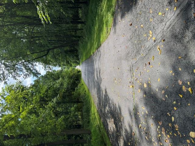 81 Pine Island Turnpike Property Photo 9