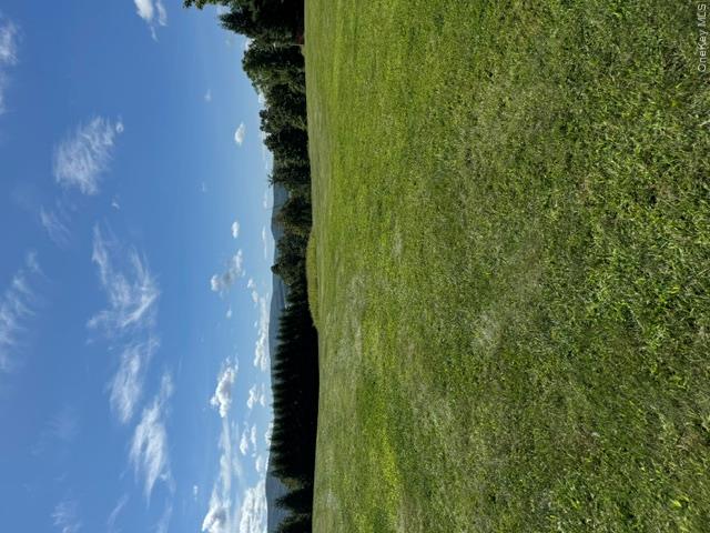 81 Pine Island Turnpike Property Photo 11