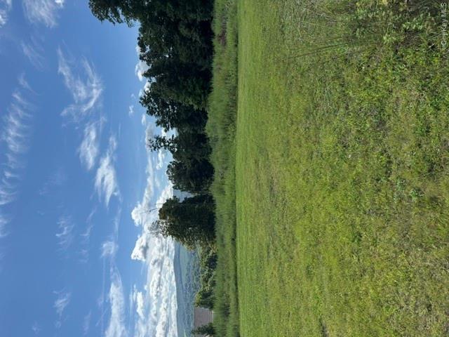 81 Pine Island Turnpike Property Photo 12