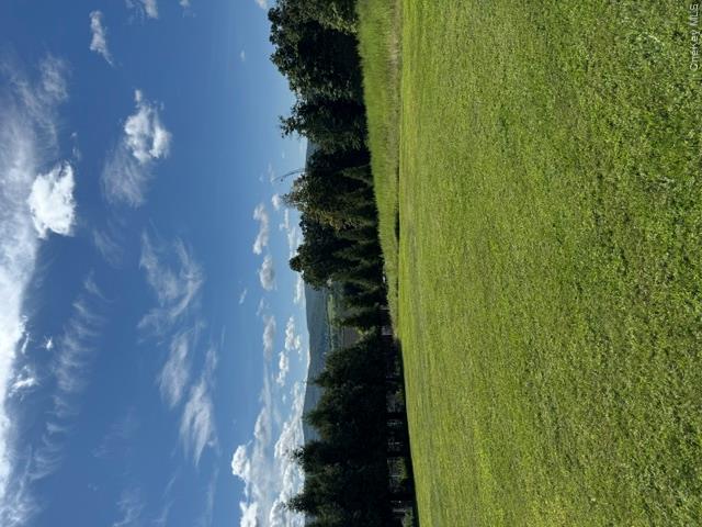 81 Pine Island Turnpike Property Photo 13