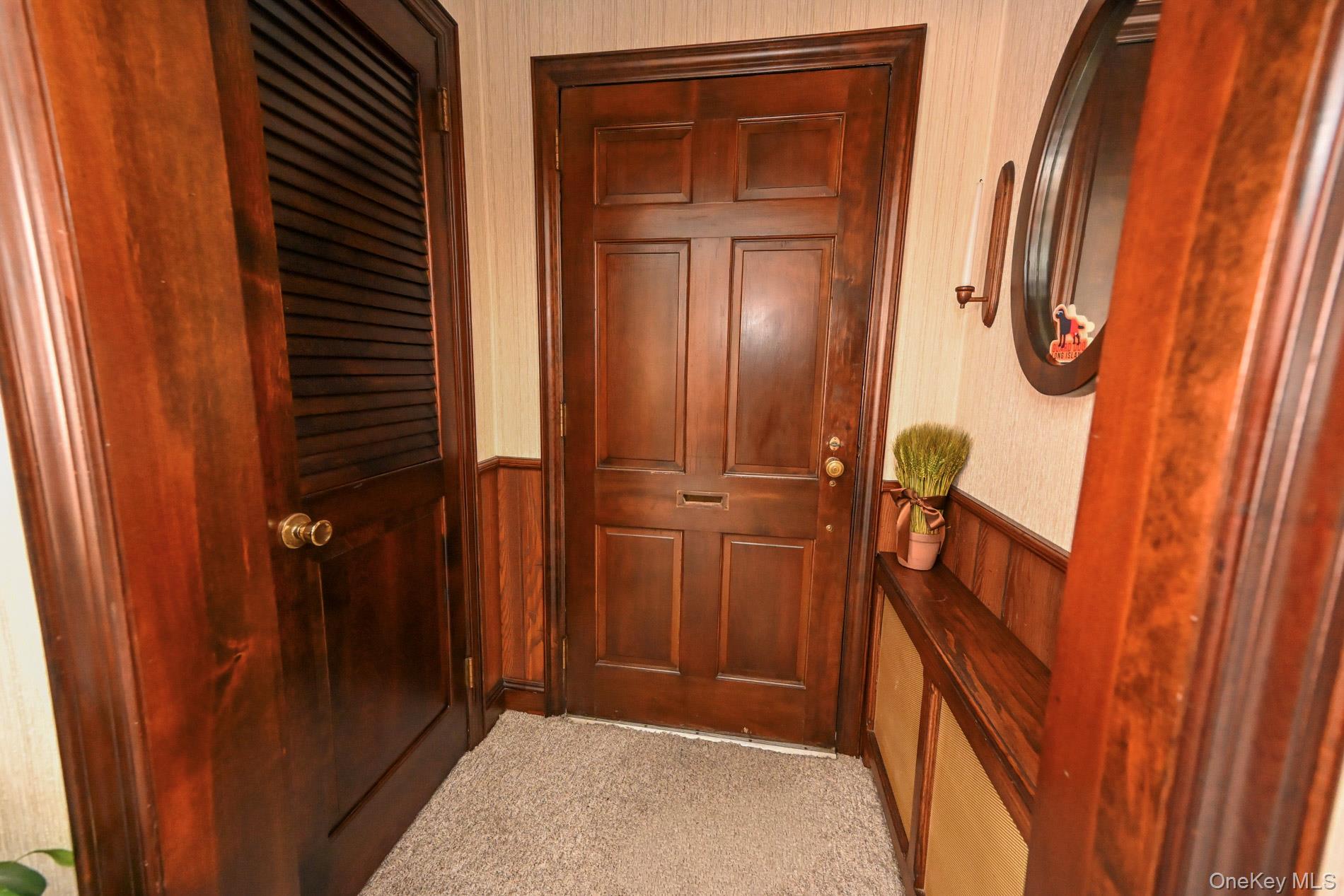 117 Euston Road Property Photo 4